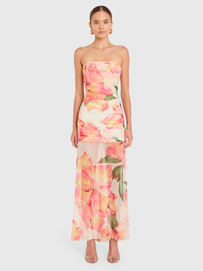 Leo Dress In Hibiscus Amanda Uprichard